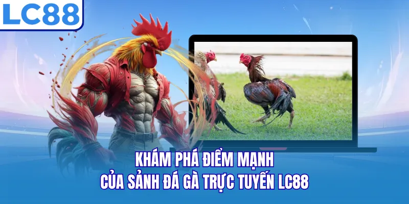 Khám phá điểm mạnh của sảnh đá gà trực tuyến LC88