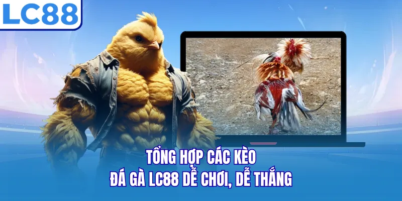 Tổng hợp các kèo đá gà LC88 dễ chơi, dễ thắng